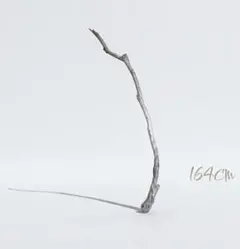 華麗なるアーチ自然流木164cmロング　美品　ディスプレイ　ウォールデコ　自然