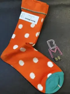 Item thumbnail for item 4207da42-e6ae-47f4-945d-cd3eb045c339