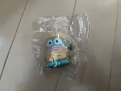 ハンギョドン 天麩羅