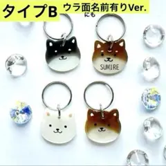 数量限定　タイプB 【ウラ面にも名前有り】《柴犬選択》柴犬　迷子札　オーダー