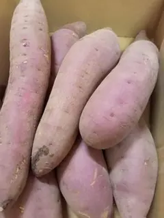 茨城県産大サイズ紅はるか10kg