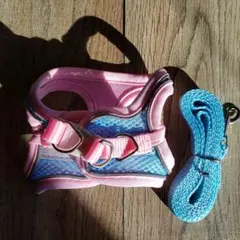 Item thumbnail for item 9d4d8ce2-15ae-4400-b303-177a366d381c