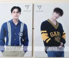 ❤SALE❤新品に近い　SEVENTEEN MINGYU DINO フォトカード