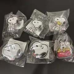 スヌーピー アクリルクリップ　　6点セット