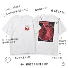 FLAGSTUFF tシャツのサムネイル