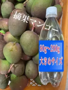 宮崎県産 摘花 グリーン マンゴー 10.2kg - メルカリ