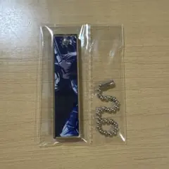 プロセカ　モモジャンKAITO アクキー