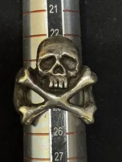 Item thumbnail for item 6127d579-bdbe-412f-b93e-9548201e10f1