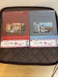 シン・エヴァンゲリオン劇場版一番くじ　H賞クリアファイル２点セット