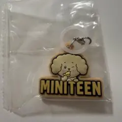 ミニティーンぷっくりめじるしアクセサリー　ドギョム　DOA ドア