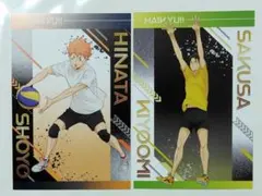 ハイキュー 日向 佐久早 アニメイトフェア ポスカ