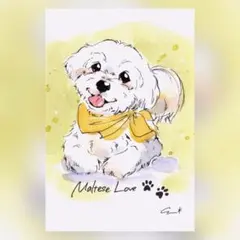 Item thumbnail for item 98a11303-29c0-46c4-925e-5cb145799f38