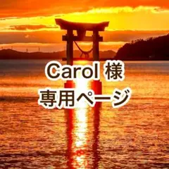 Carol様 リクエスト 5点 まとめ商品
