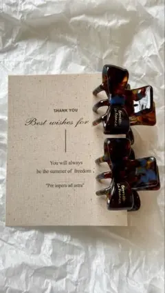 Item thumbnail for item 5f47e41f-eeb5-40ee-b0b3-39cfc0368675