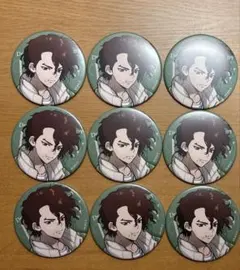 Dr.STONE SAI ミクガ 缶バッジ - メルカリ
