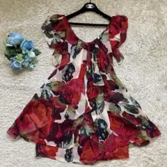 華麗✨ダイアンフォンファステンバーグ　ワンピース　シルク　シフォン　ローズ柄　4