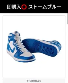 ⭕NIKE Air Jordan 1 エアジョーダン STORM BLUEガチャ