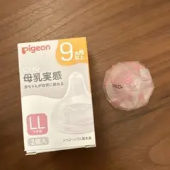 Item thumbnail for item 96476a7e-1a78-48c9-b8bf-ce7aed1326c4