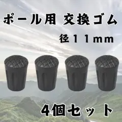 Item thumbnail for item 0fd5d144-8473-441a-bf6a-3e170659a09f