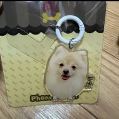 ちゃんさん様 リクエスト 2点 まとめ商品