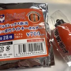 アルビレックス新潟 堀米