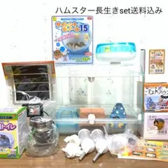 ジャンガリアン ハムスター 長生き飼育セット ケージ ハウス ヒーター ホイールのサムネイル