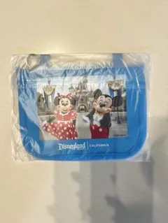《非売品》楽天トラベル　ディズニーランド ミッキー ミニー ポーチ