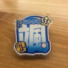 横浜DeNAベイスターズ 中川颯 53 アクリルバッジ