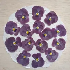 chiha-cha様 リクエスト 5点 まとめ商品