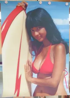 ✨アグネスラム ✨水着特大ポスター③ ✨アグネスラム ✨水着特大ポスター③ Amazon.co.jp: kj 額装品