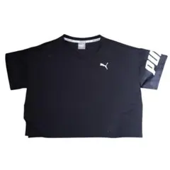 Item thumbnail for item c91ee519-f97b-46ed-b49a-2b3515bec2d6