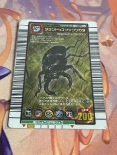 2005年ファースト タランドゥスツヤクワガタ ヒャクレツケンタイプ