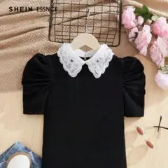 襟付きトップス　トップス　美品