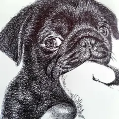 ボールペン画 ボーダー・コリー003【ドローイング 原画 イラスト 犬の