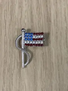 アメリカ　バッジ