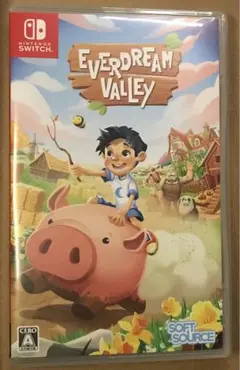 Switch Everdream Valley エバードリームバレー