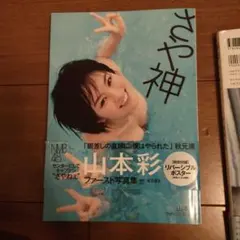 山本彩 タレント写真集