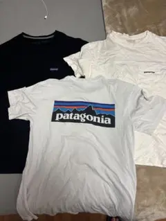 b*l様 Patagonia Tシャツ 3点セット