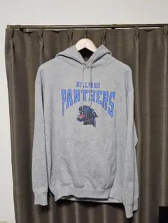 GILDAN　パーカー　アメリカ　古着　PANTHERS　カレッジ