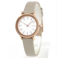 SKAGEN スカーゲン SKW2494