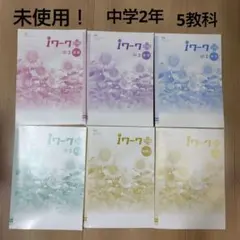 未使用！[中学2年] iワークプラス 5教科