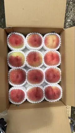 朝採れ】山梨 桃 ゆめみずき 3.8kg (12玉)訳あり品 全都道府県発送 