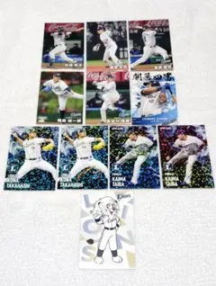 プロ野球チップス2025 埼玉西武ライオンズ(カード11枚)