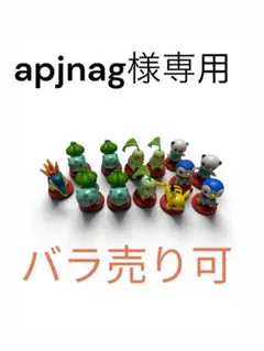 apjnag様専用　　フシギダネ