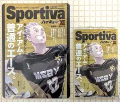 サク様専用　ハイキュー ショーセツバン 　木兎光太郎　及川徹　2点