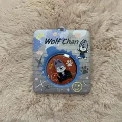 Stray kids skzoo the victory 缶バッジ ウルフチャン