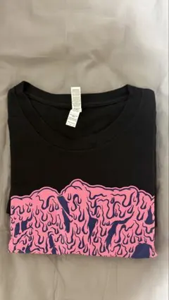 ENTH DoggyWalkyファイナル名古屋限定Tシャツ Lサイズ値下げ交渉可 ENTH DoggyWalkyファイナル名古屋限定Tシャツ Lサイズ値下げ交渉可