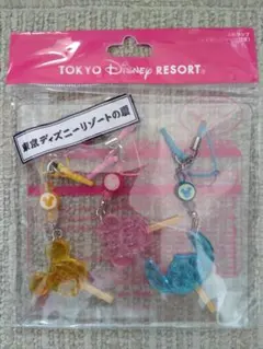 東京ディズニーリゾート アクリルキーホルダーセット