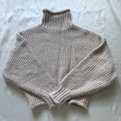 H &Mベージュ タートルネック クロップドニット XS