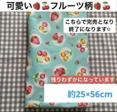 綿生地 ハギレ カットクロス 布 生地いちご生地 さくらんぼ生地 レトロデザイン